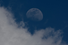 today moon