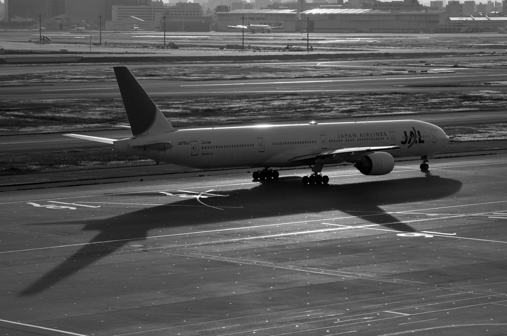 monochrome_JAL777