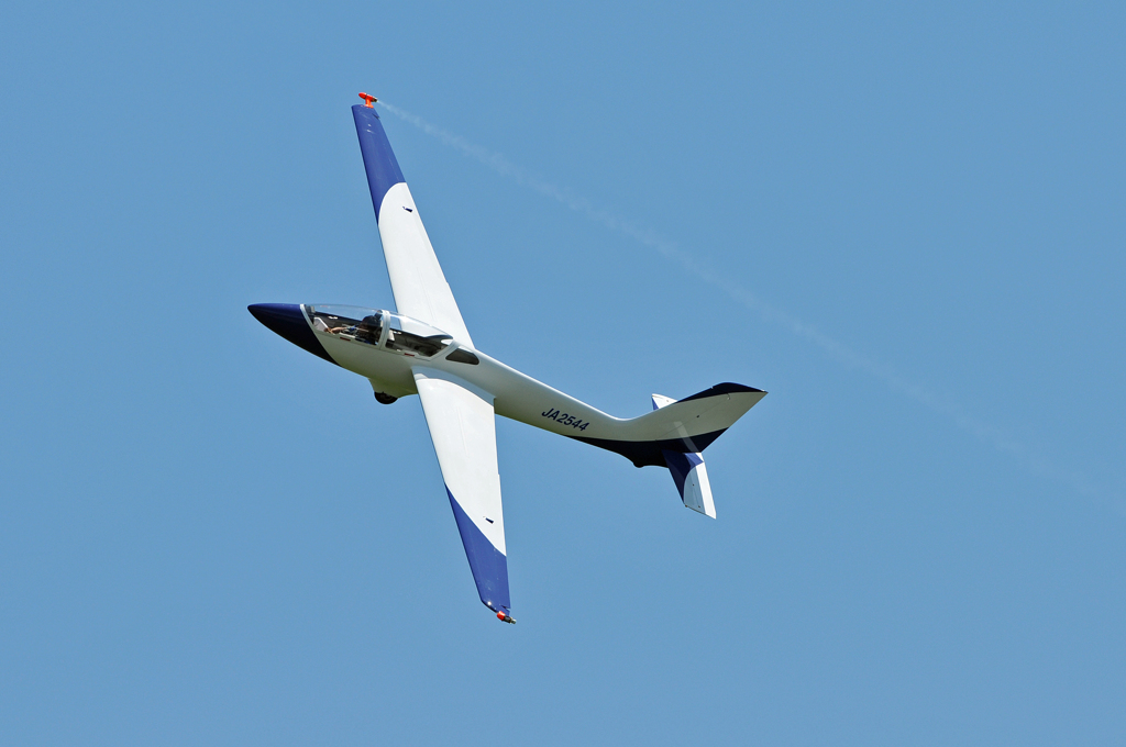 MDM-1FOX_JA2544