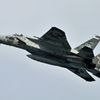 303ｓｑ 60th F15 eagle
