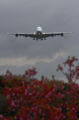 head-on A380