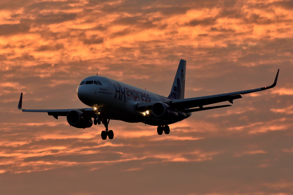 夕焼けA320