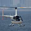 Robinson R44