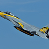 306sq 60th F15 eagie