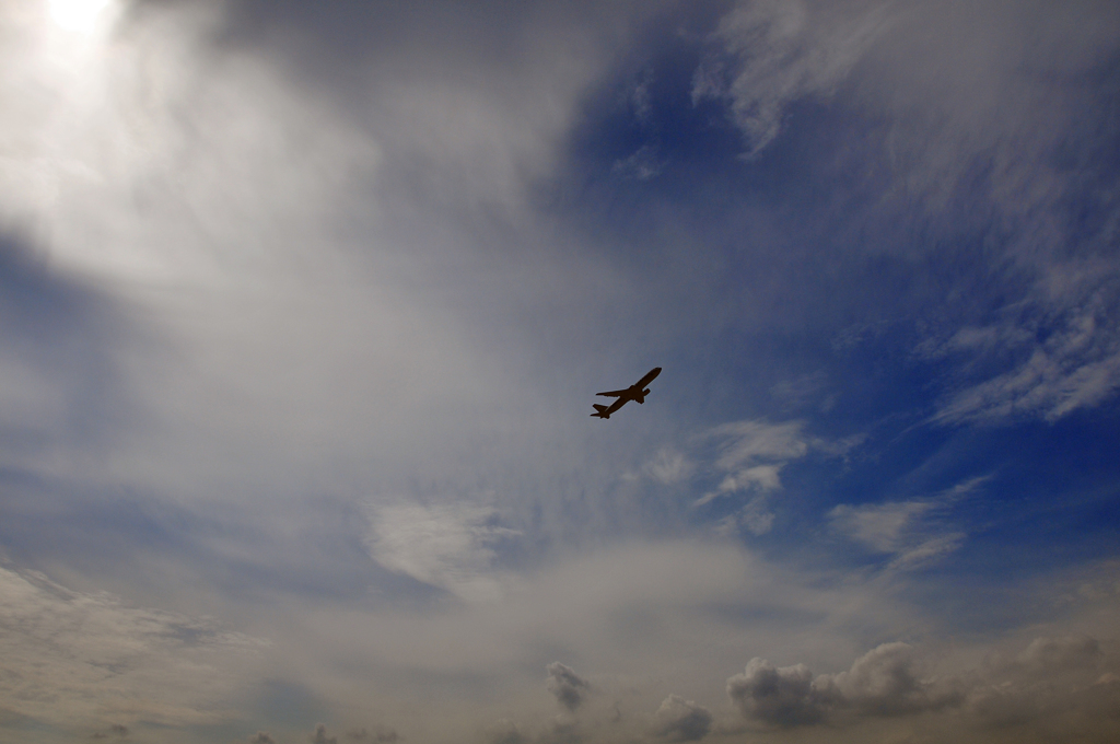 空に舞う