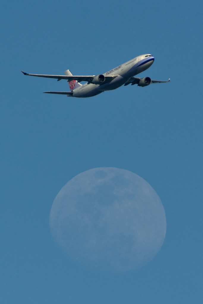 Moon shoot Dynasty