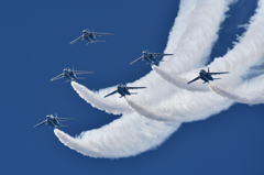 Blue Impulse Delta Roll