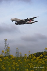 Emirates Airbus A380