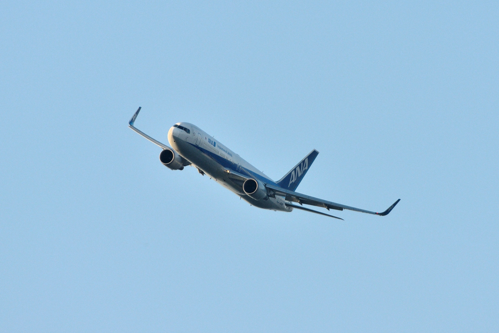 ANA-B767