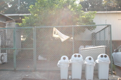 ニョロニョロ登場