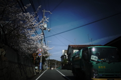 バス道