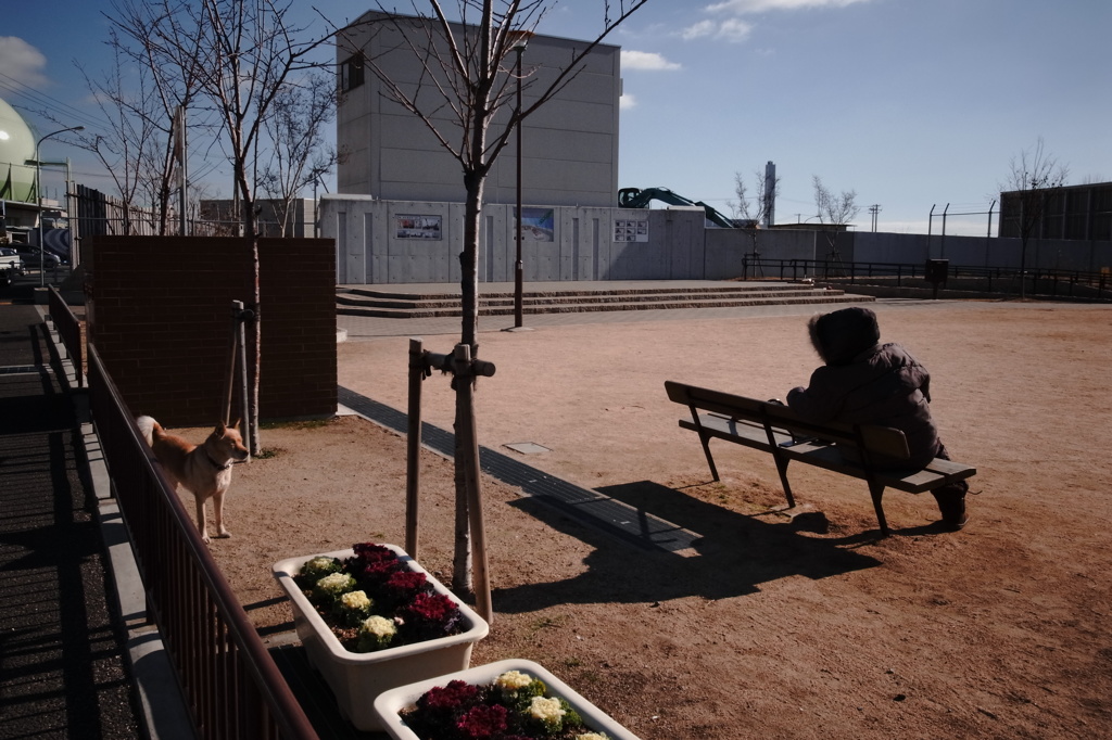 なかよし、こよし
