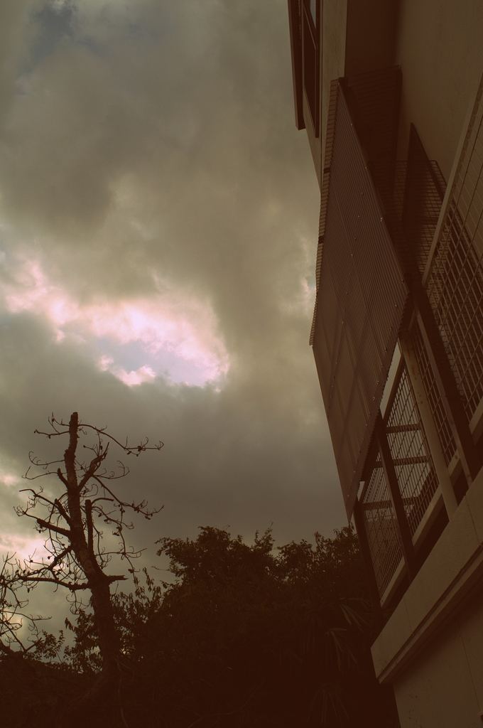 雨上がり３