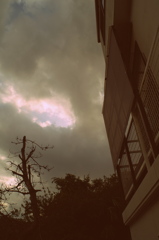 雨上がり３