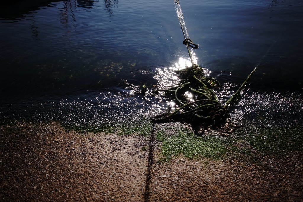 朝の海