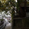 秋の足音