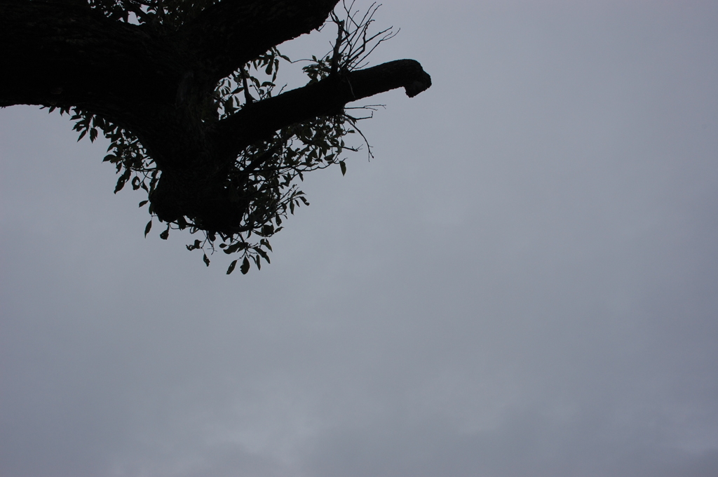 曇り空