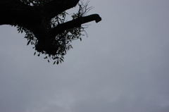 曇り空
