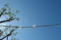 青空１