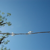 青空１