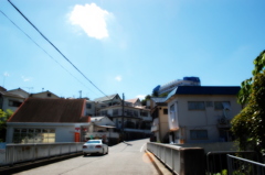 晩夏2
