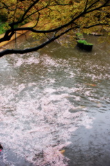 春雨