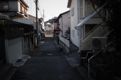 散歩道
