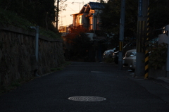 朝の散歩道
