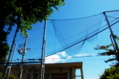 晩夏