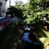 小川の