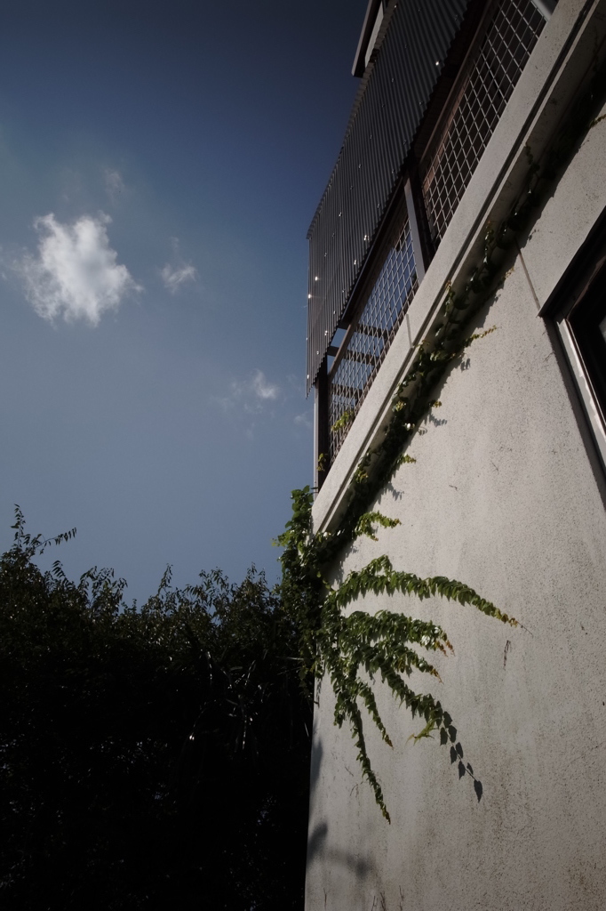 朝の光