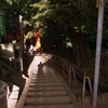 朝参り