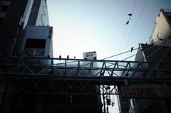 都会の朝