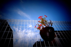 夏の終わりの空