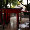 春雨２