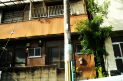 雨上がり