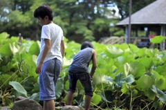 僕らの夏休み