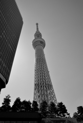DSC_0126_00007