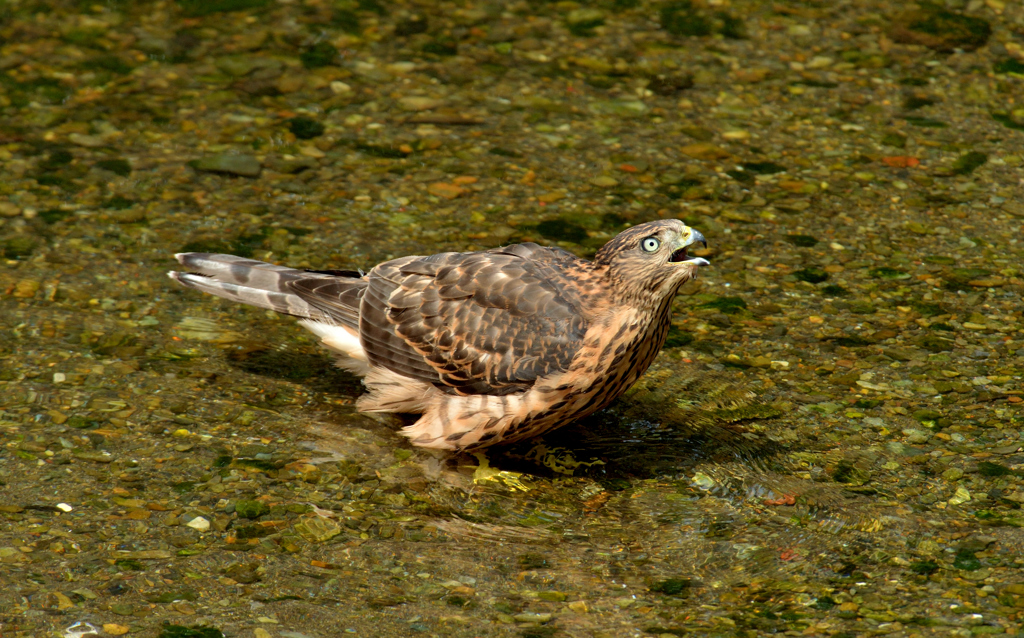 DSC_0845_00021