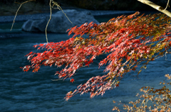 DSC_0095_00006_01