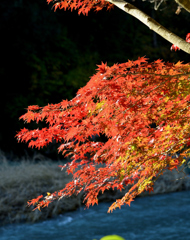 DSC_0096_00007_01
