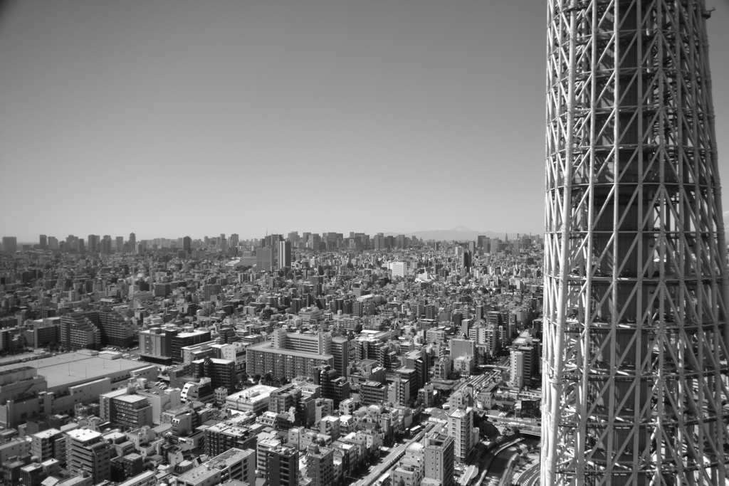DSC_0035_00003