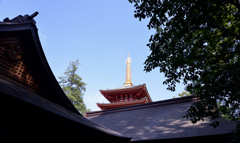 DSC_0263_00016