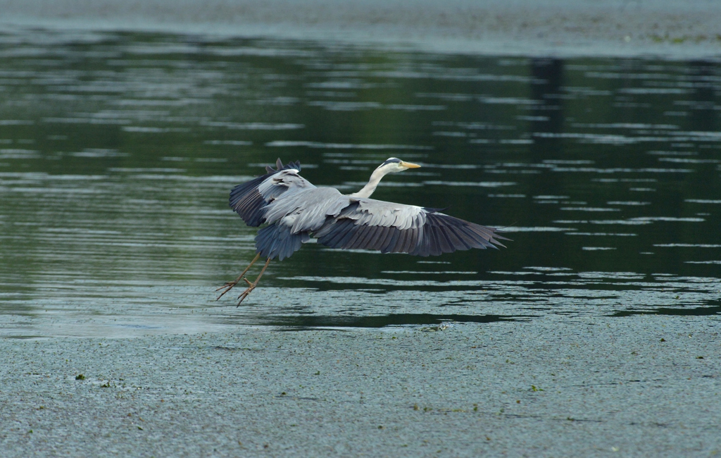 DSC_0857_00018