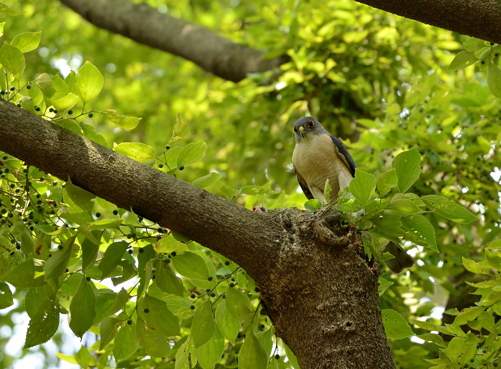 DSC_7288_00023