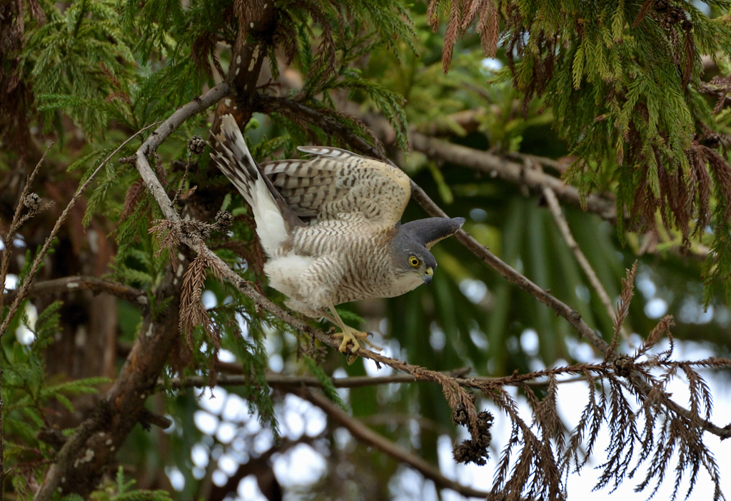 DSC_5178_00022