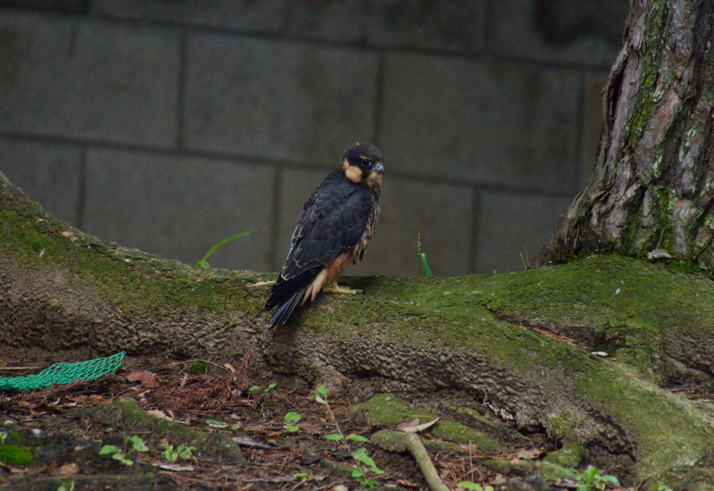 DSC_0021_00002