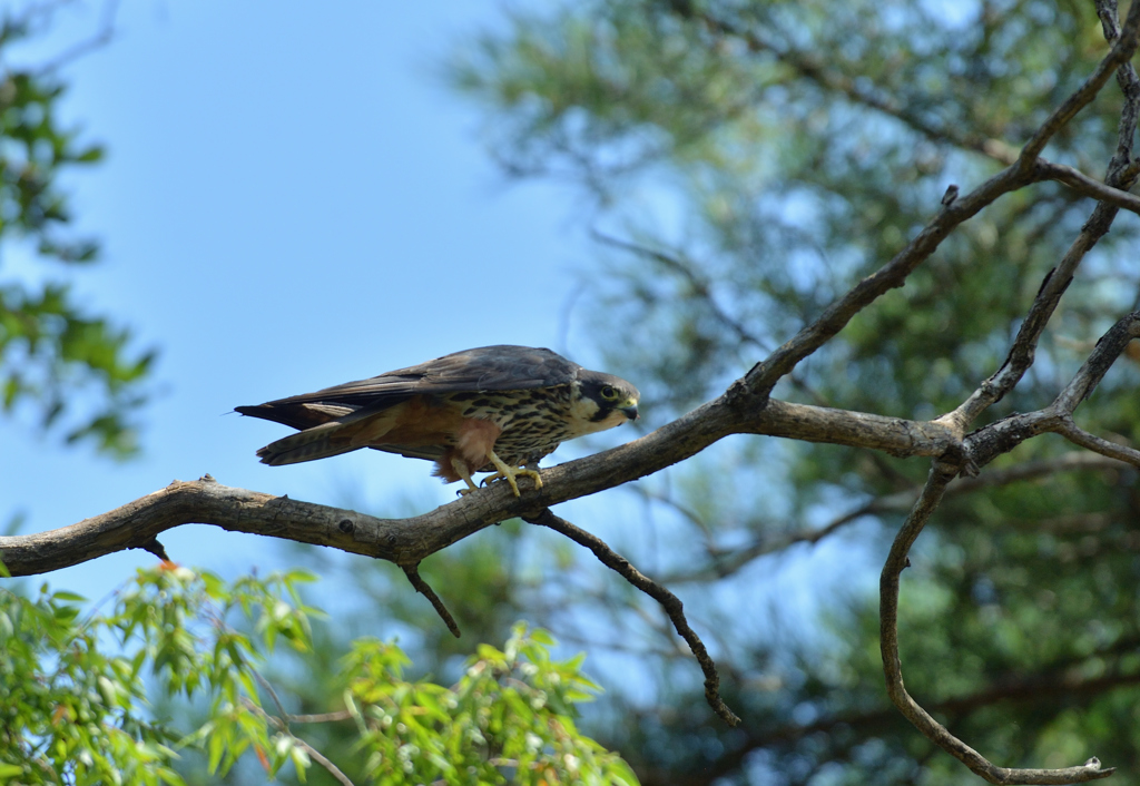 DSC_5612_00059