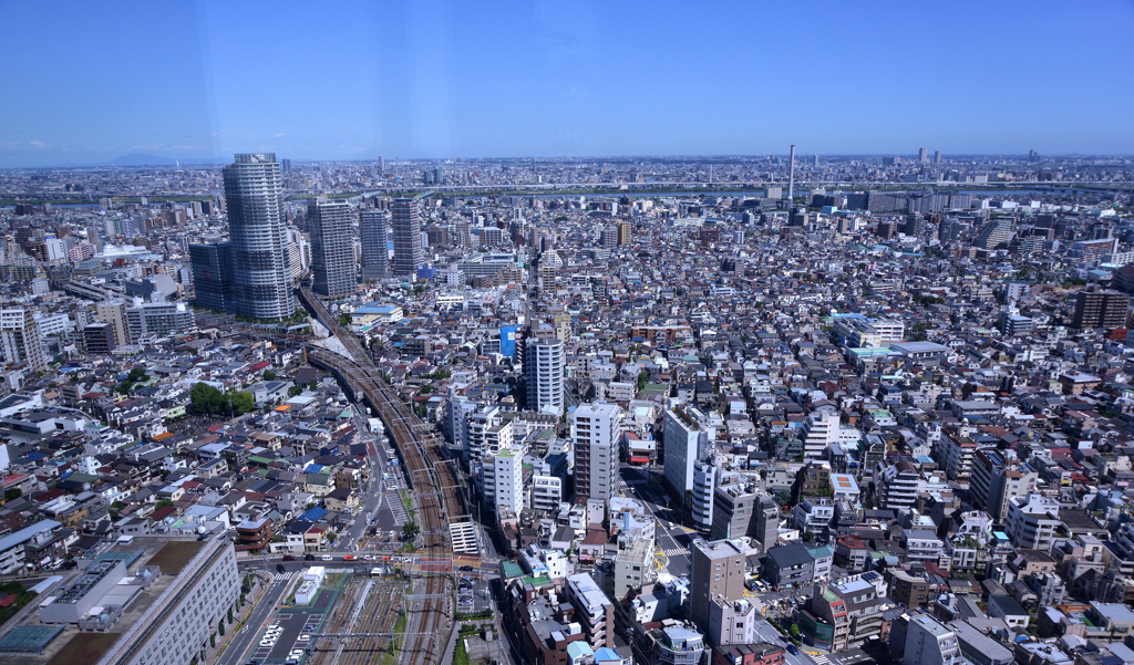 DSC_0080_00005