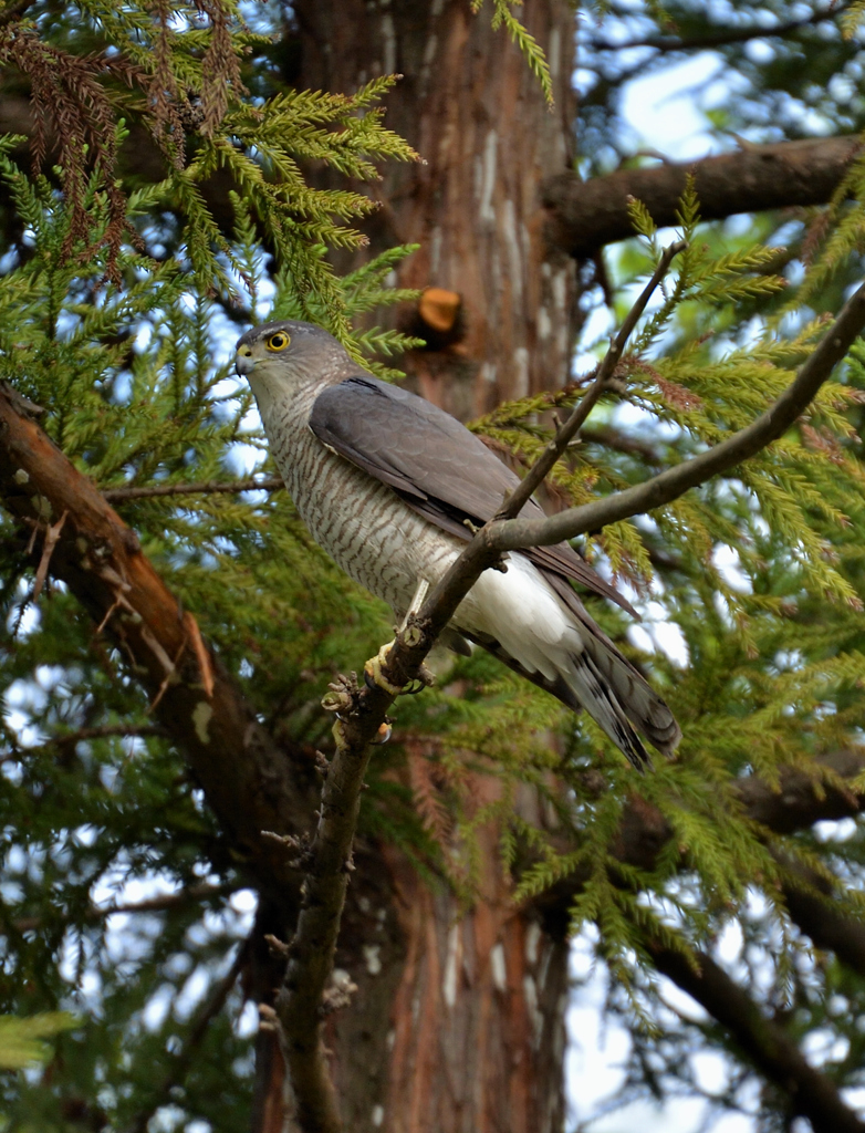 DSC_8212_00048